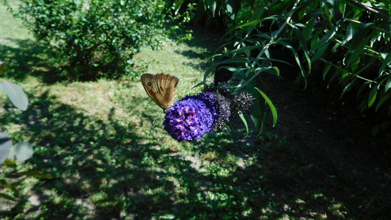 La Cle Des Sens Bed & Breakfast Le Faubourg Bagian luar foto